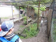 Výlet do ZOO Chleby a Labyrintária Loučeň